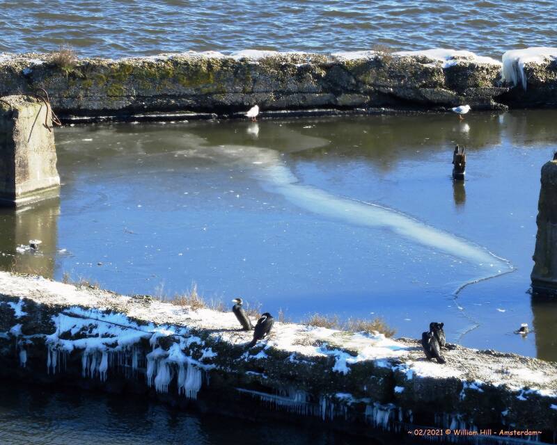 13,  posing as icesculptures?