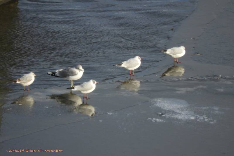 what&#039;s the use..?, you can&#039;t reach the fish, you get cold feet and it&#039;s very windy there