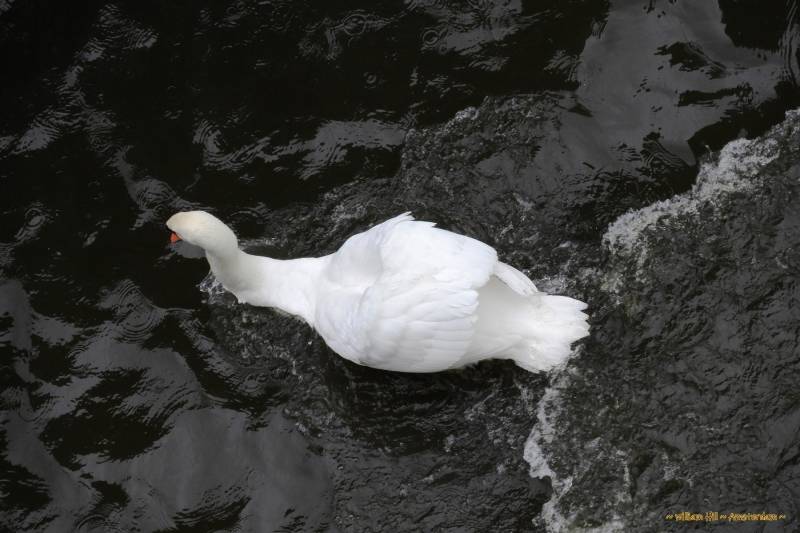 Full speed in attack