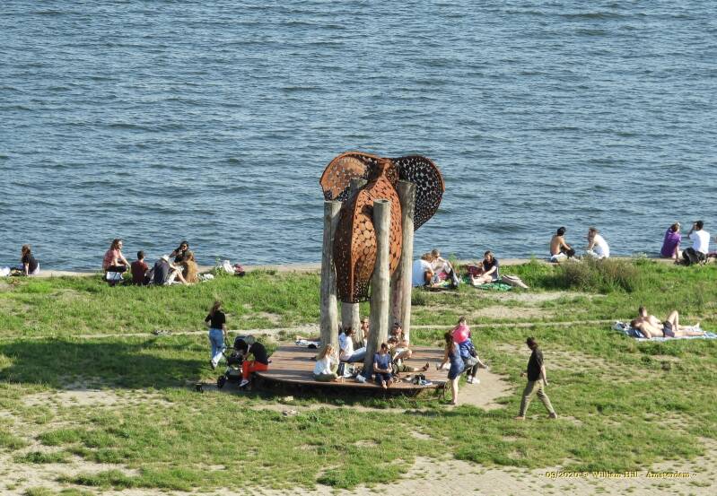 relaxing around the Elephant