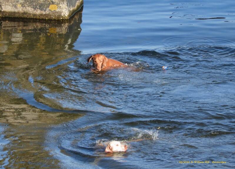 where.. where..  is it?