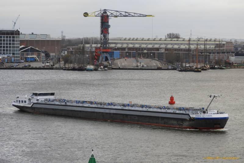 (11)  - PRIDE of FAIAL