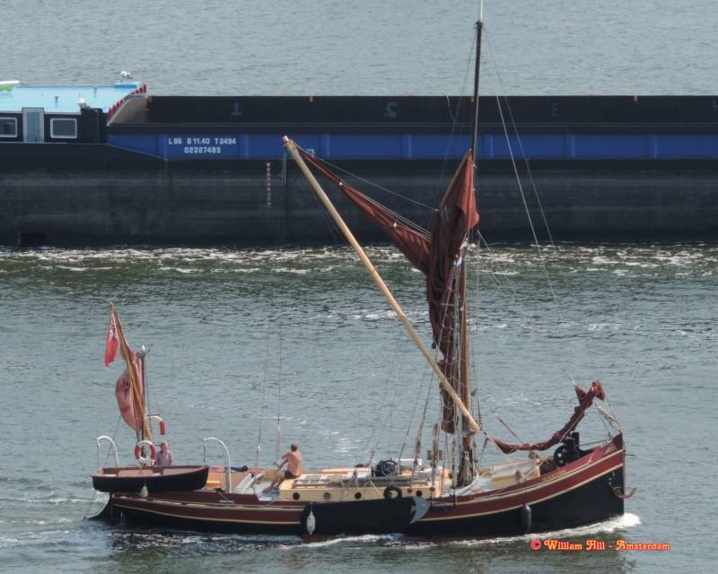 sailthing 'Black Thorn'