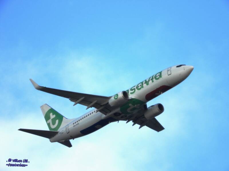 a bit of zoom and it's 'Transavia'