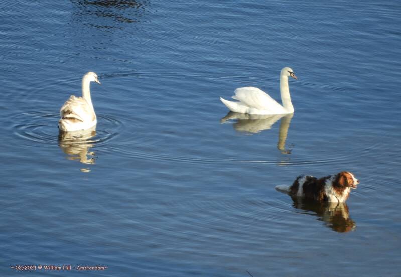 &quot;He&#039;s noisy, isn&#039;t he?&quot;