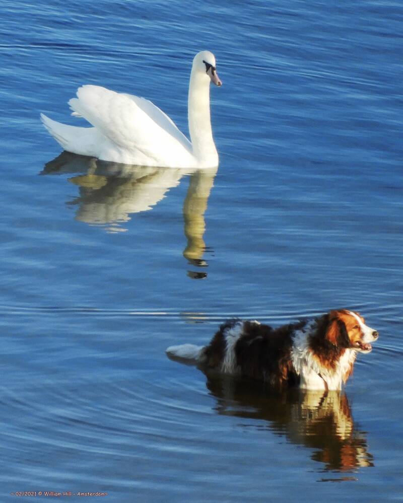 &quot;Oh do shut up!, you noisy creature!&quot;