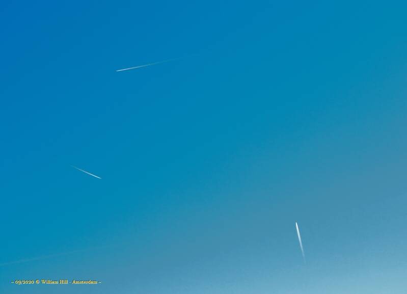 18/09, first sketches of free drawing