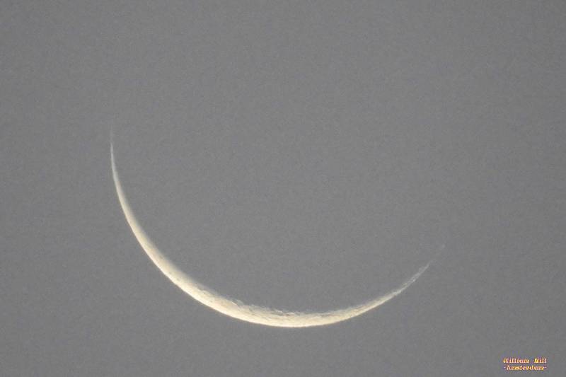 goodbye last moonlight