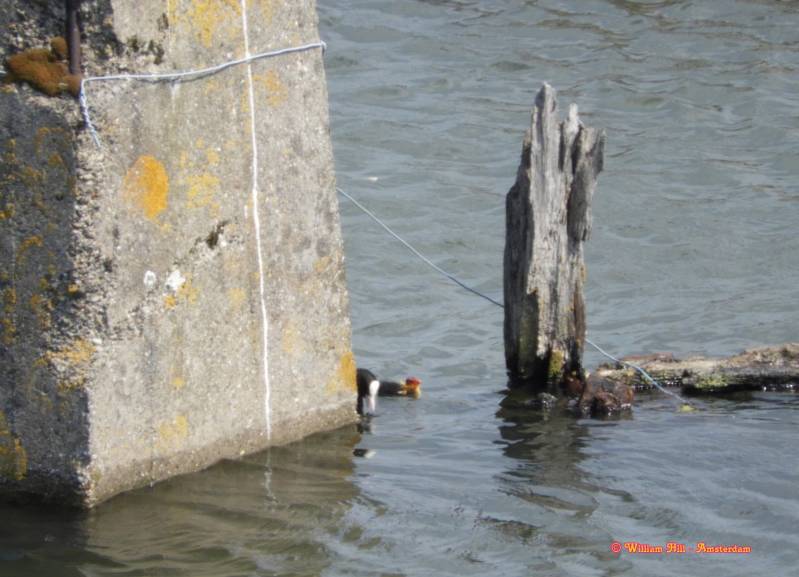 what do we have here?