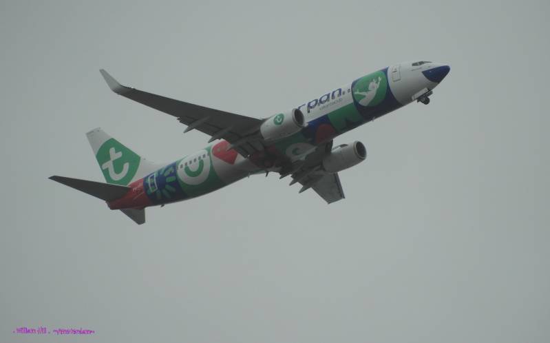 TRANSAVIA