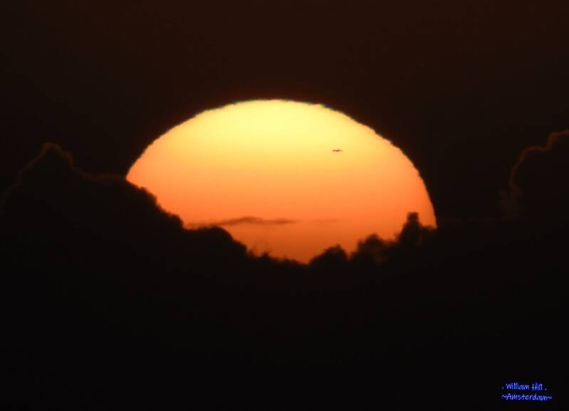 A bit shy but there is Sunny