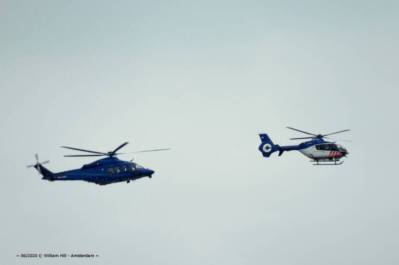 09/06, How Sweet, Lovebirds