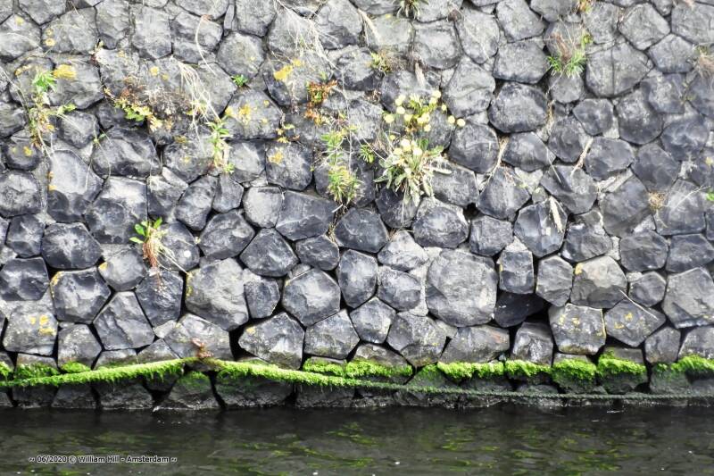 Doesn&#039;t look Good, one more bump?