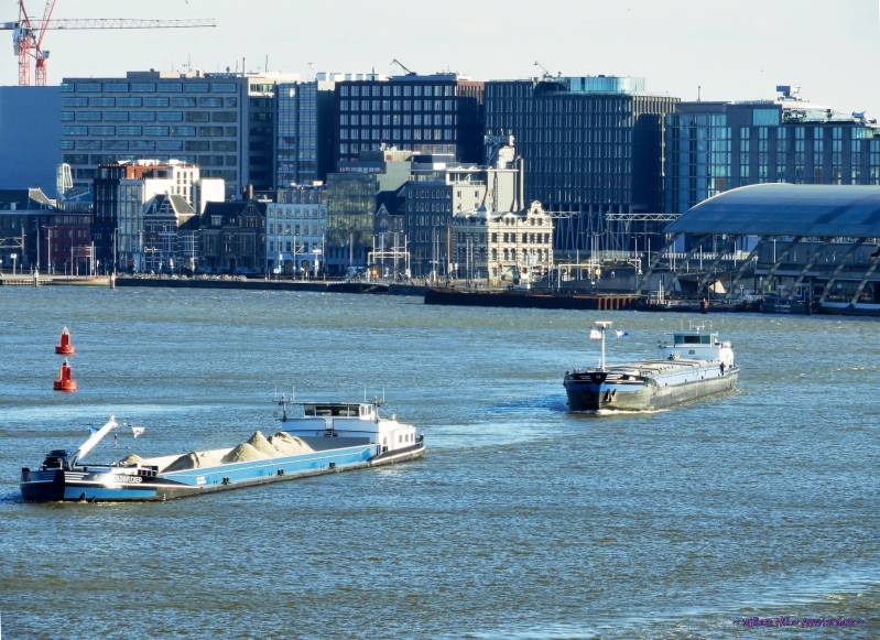 (21) - GOUWEDIEP  +  DIVA