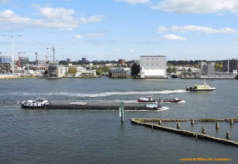 3 ships:, cargo FEHAR, bunkership ZAANPLUS, researchvessel SCHEURRAK