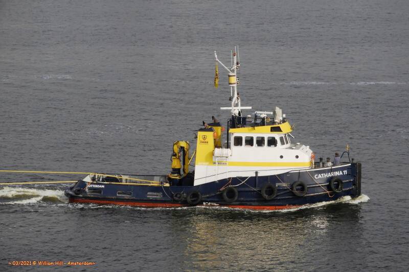 tug CATHARINA 11