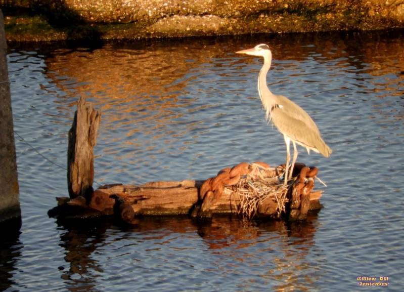 that was fun, back to work