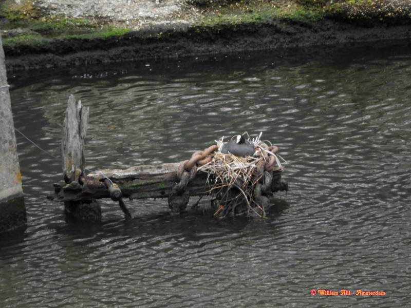 and there goes the water.. mommy ...! I am hanging here..
