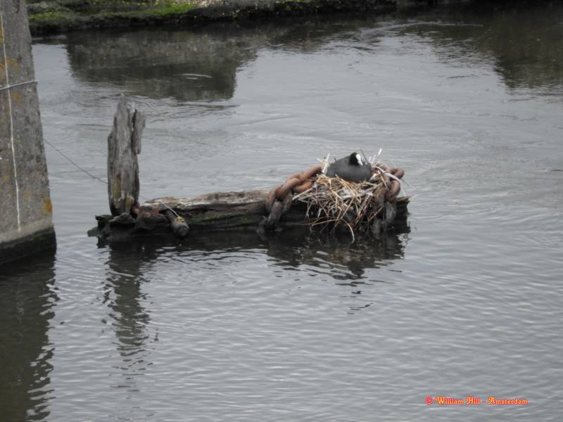 ..the water comes back and someone bumps the head