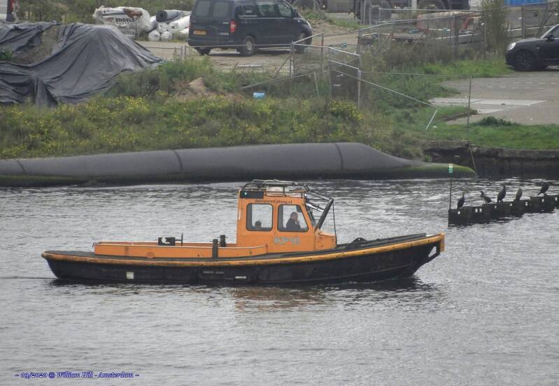 vlet KP19 and cormorants on a row