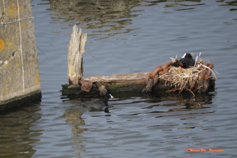 bringing something  eatable