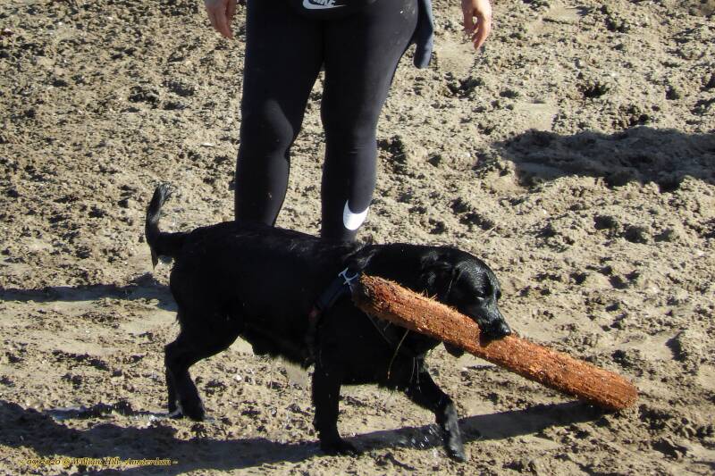 always with his / her own huge stick