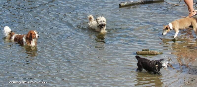 (15/6), ..aaaah yess,  look those smiling faces..