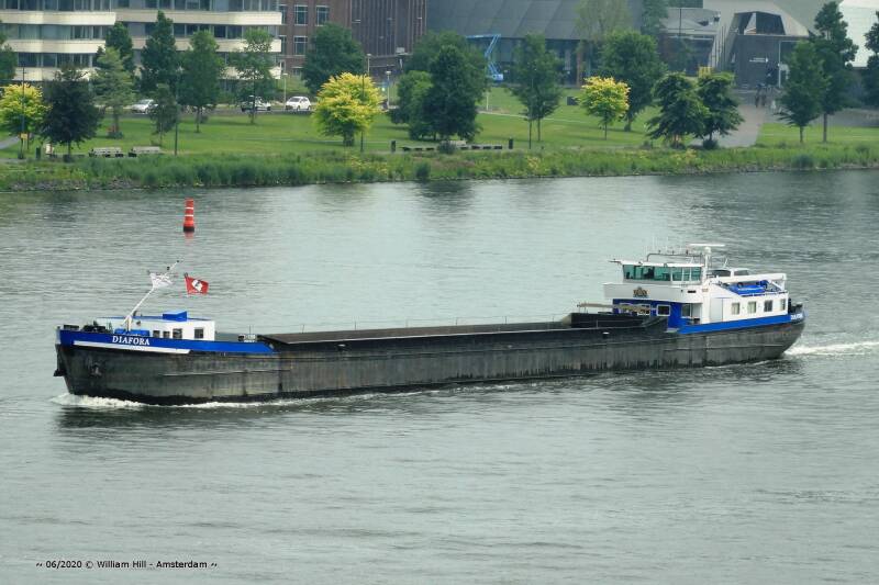 16/6,  cargo DIAFORA