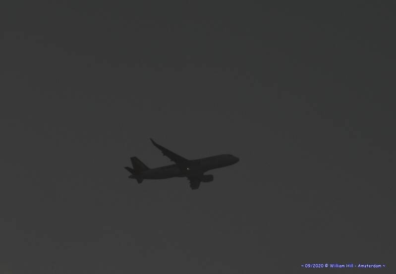 misty plane