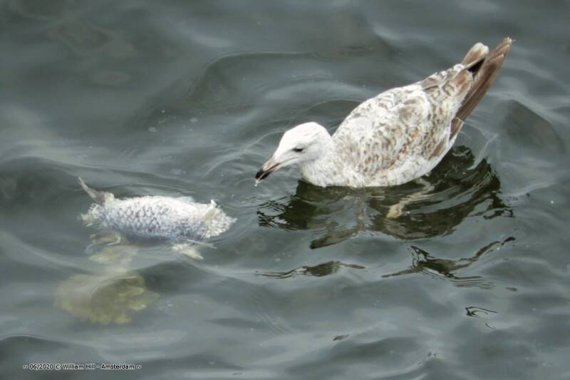 Think he had enough for now .. brr 