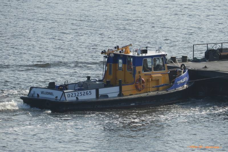 (31)  -  BIGGELAAR 16