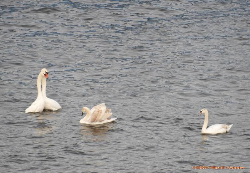 yeah..? can we help you..?