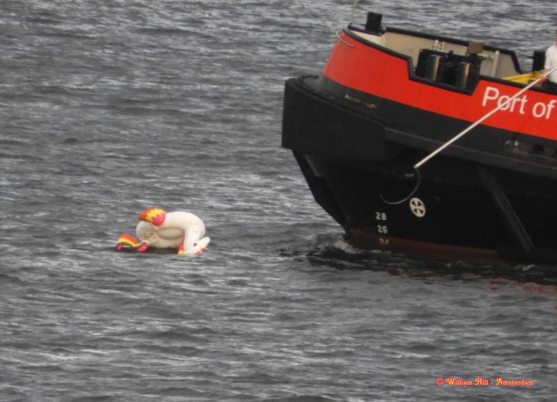 oh dear, she is already on her side