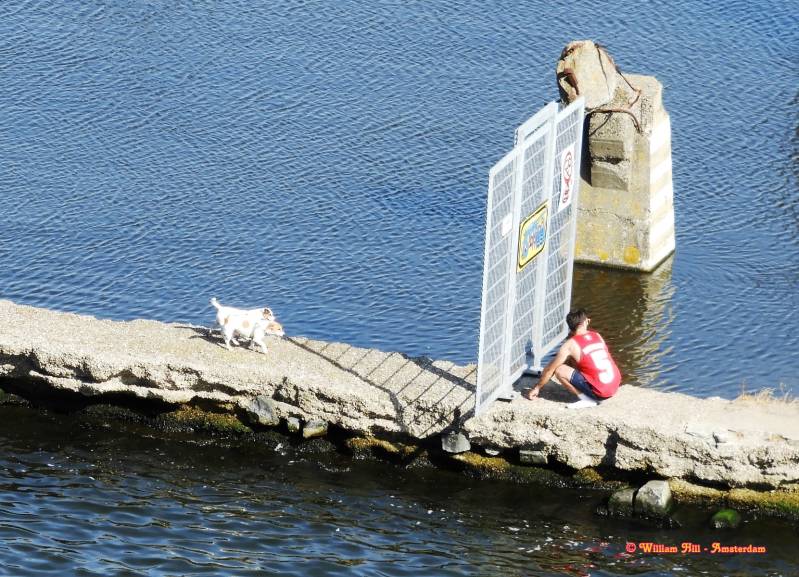 and here we have the naughty ones, they ended up at the wrong side of the vence with a not to smart owner