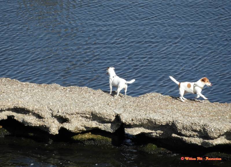 here it looks  the left says.."Look where we can go to..Wow!"