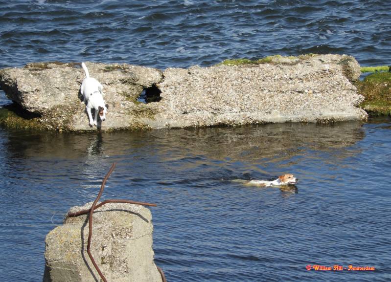 "come.., let's chase..'