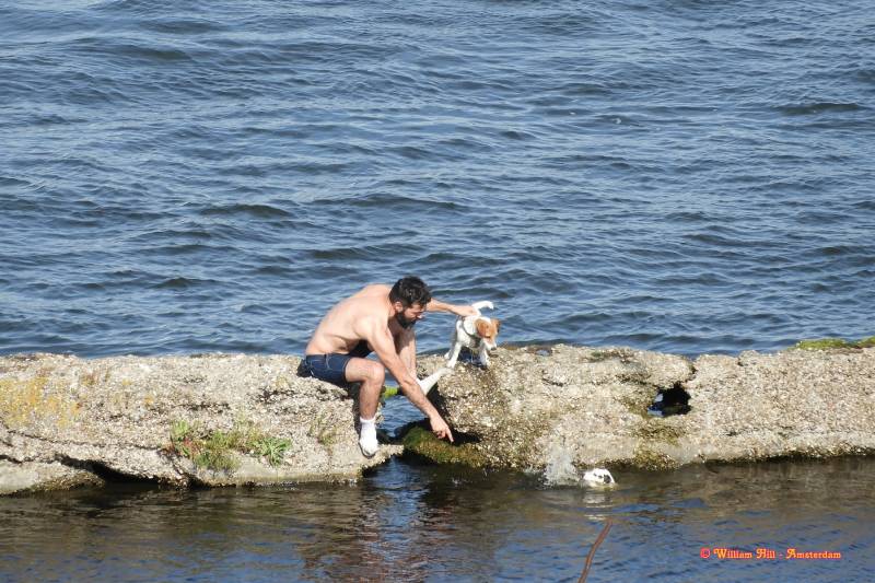 he orders the other to come too