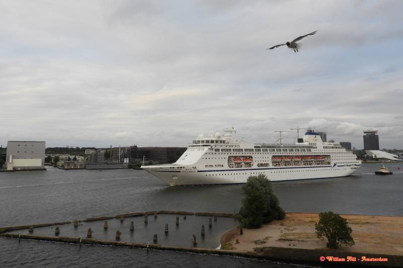 passengership COLUMBUS and a gull