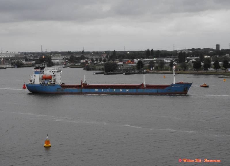 coaster WILSON MERSIN