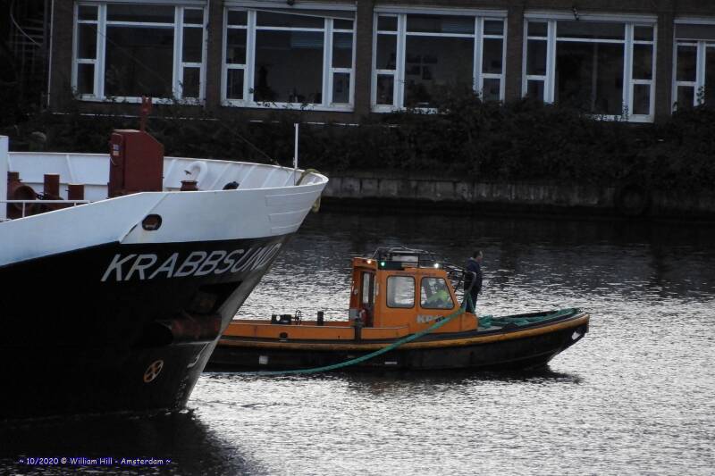 like walking with the dog