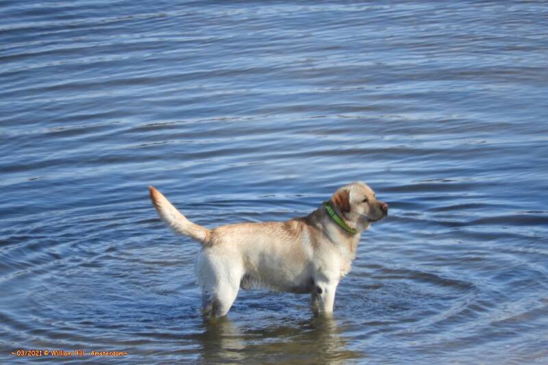 looking where the person is that was with him before the fishing