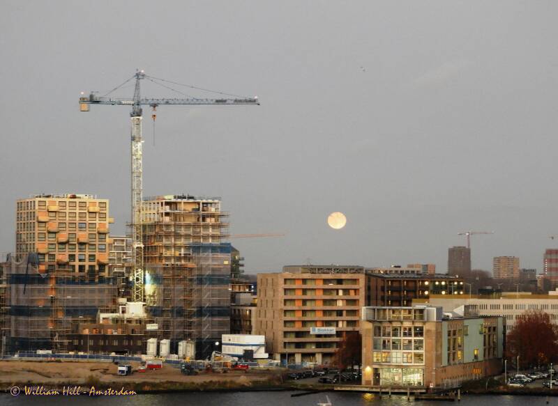 packing and unpacking the new houses in the afternoon sun with a new moon
