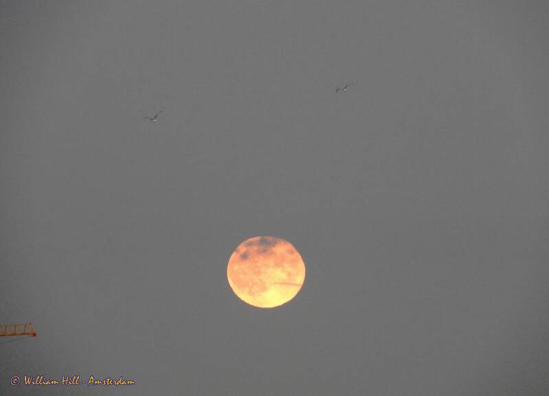 somebody gave him a mouth