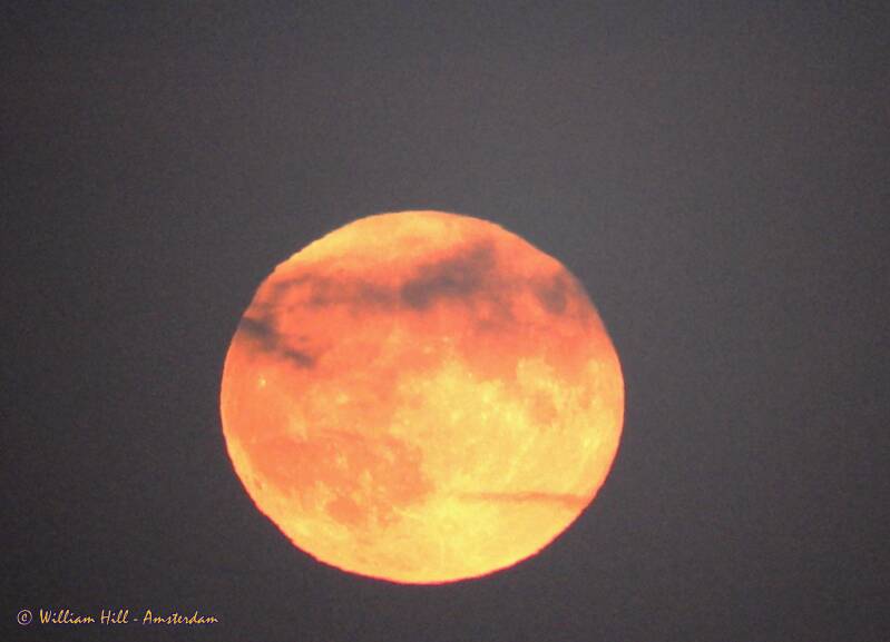 and he doesn't look amused with it. (btw. he looks like a teenage turtle)