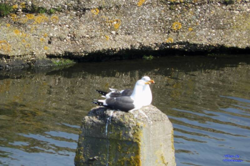 this is nice, so nice in the sun