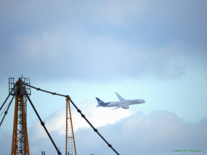 In the distance, a lonely bird...