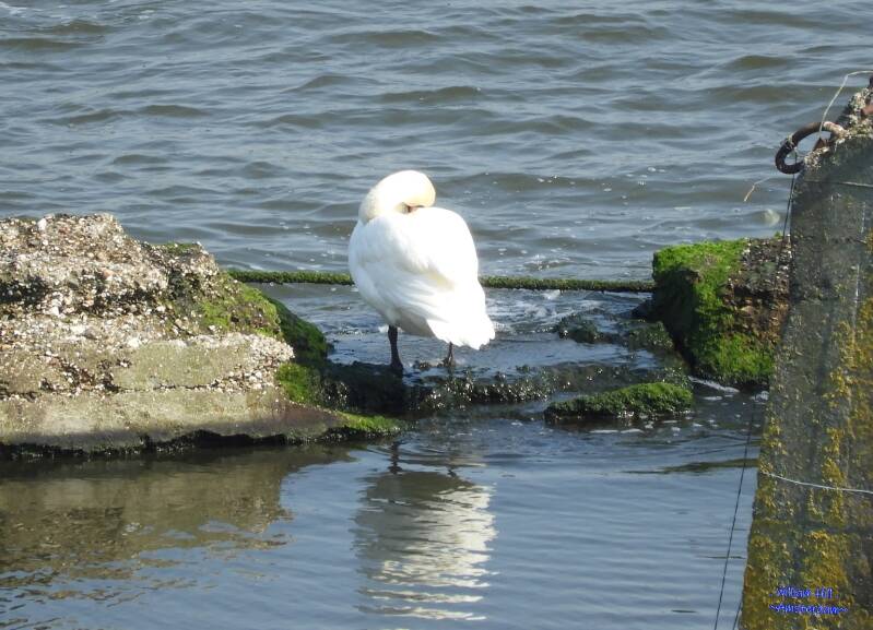 aaah nice with the feet in the water