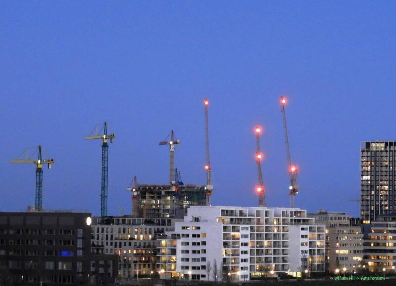 Goodnight, cranes