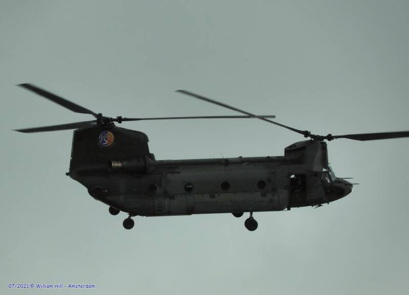 not really because they turned and kept flying around in circles.