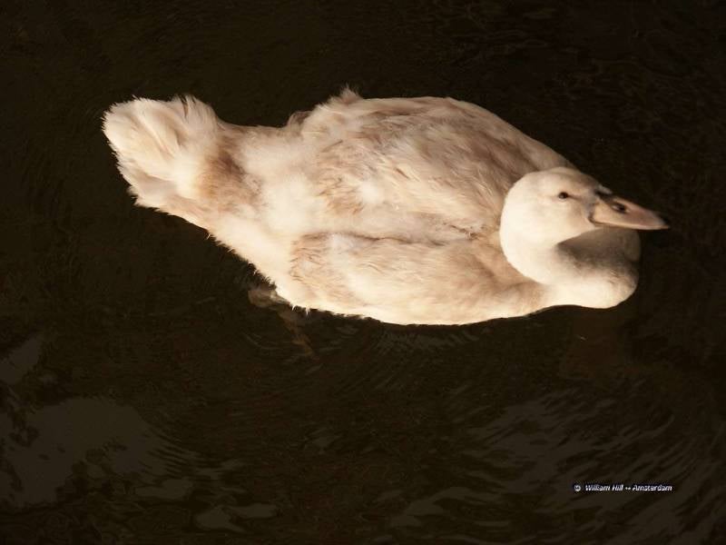 looking up 8 floors, me looking down 8 floors..,  contact